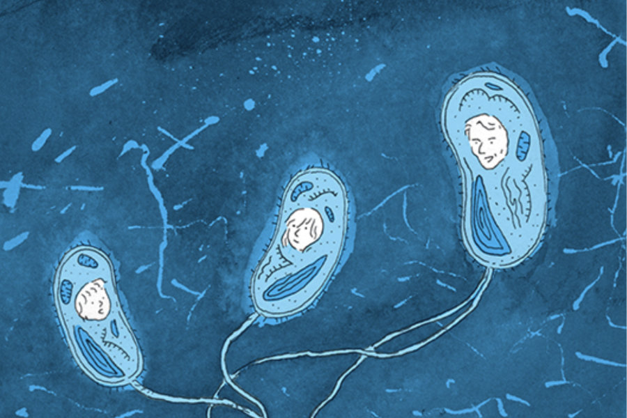 Livres de vulgarisation scientifique par David Louapre